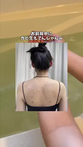 おもちのTikTok投稿