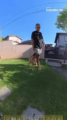 元野犬のアキのTikTok投稿