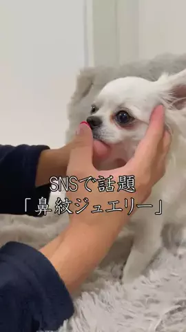 うみが食べるだけのTikTok投稿