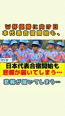 LilianのTikTok投稿