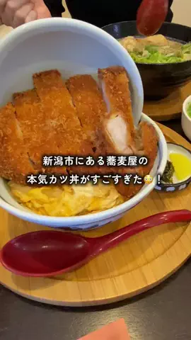 新潟の日常　おコメちゃんのTikTok投稿