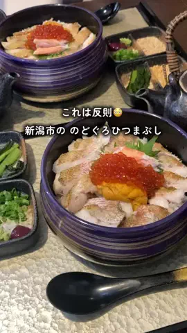 新潟の日常　おコメちゃんのTikTok投稿