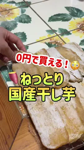 節約お姉さんういういのTikTok投稿