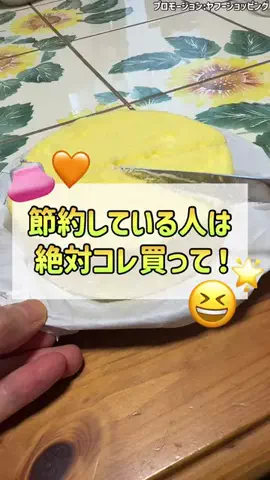 節約お姉さんういういのTikTok投稿