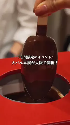 関西カフェ・グルメのTikTok投稿