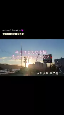 cjカオルのTikTok投稿