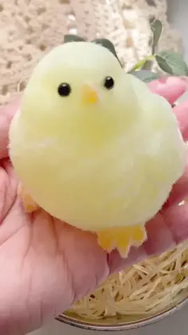 kirariのTikTok投稿