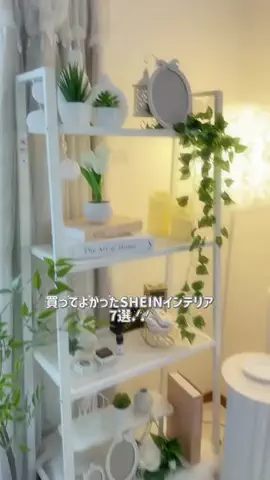 きゅーちゃんのTikTok投稿
