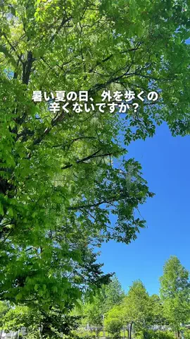 ホテル支配人の極上バイブルのTikTok投稿