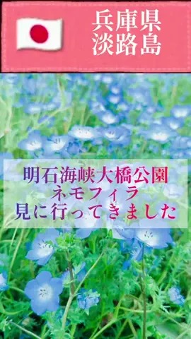 旅好き子さんのTikTok投稿