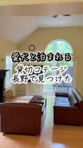 ごほうび旅のTikTok投稿