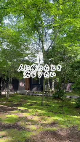ごほうび旅のTikTok投稿
