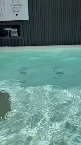 ごほうび旅のTikTok投稿