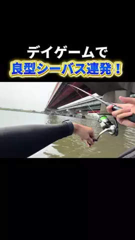 釣りユーキの日常(笹倉悠暉)のTikTok投稿