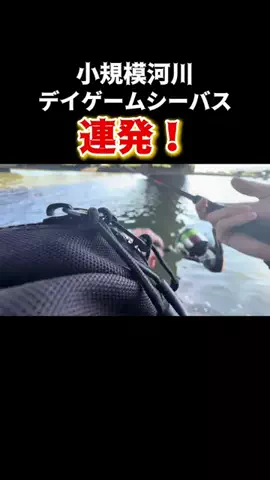 釣りユーキの日常(笹倉悠暉)のTikTok投稿