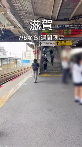 まるっと滋賀のTikTok投稿