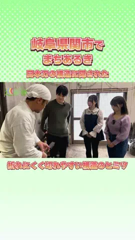 すばかし巡検部のTikTok投稿