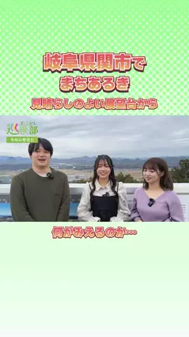 すばかし巡検部のTikTok投稿