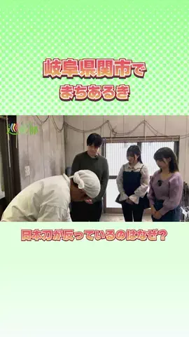 すばかし巡検部のTikTok投稿