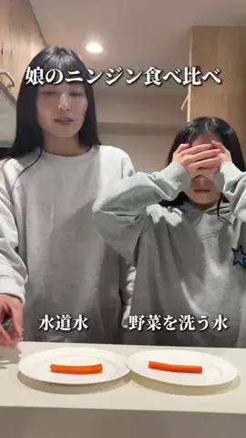 チョコミントのTikTok投稿