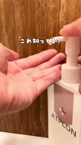purin_memory.diyのTikTok投稿