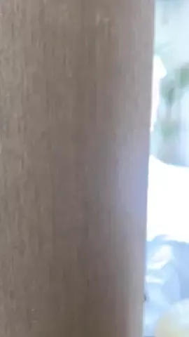 チョコミントのTikTok投稿
