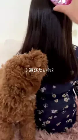 チョコミントのTikTok投稿