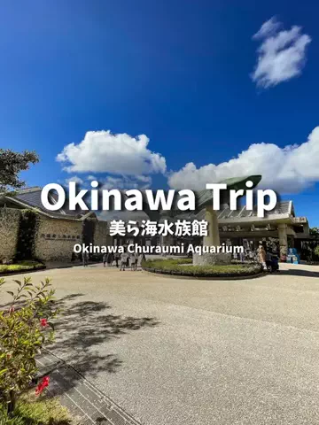 みきたび｜週末ごほうびステイ🌺✈️のTikTok PR投稿：沖縄旅行行くなら、ここは外せない🐠✨ 美ら海水族館、…
