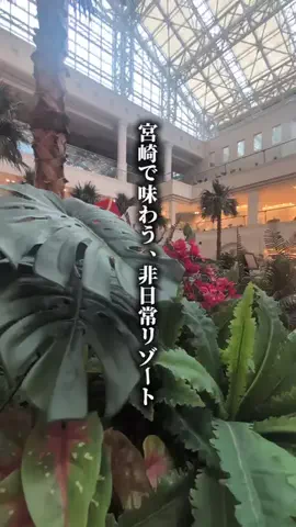 ココロ旅人のTikTok投稿