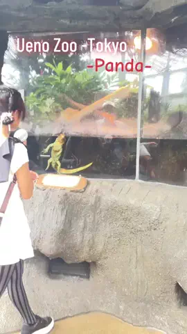 Mara  だードラ♥️🇯🇵🇵🇭のTikTok投稿