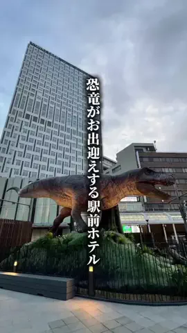 ココロ旅人のTikTok投稿