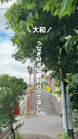 瀬谷なびのTikTok投稿