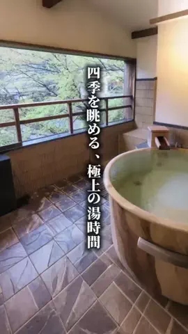 ココロ旅人のTikTok投稿
