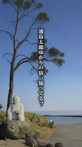 ココロ旅人のTikTok投稿