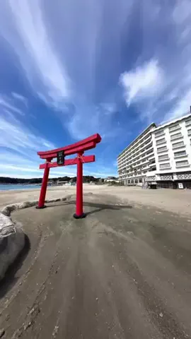 ココロ旅人のTikTok投稿