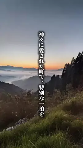 ココロ旅人のTikTok投稿