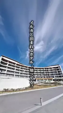 ココロ旅人のTikTok投稿
