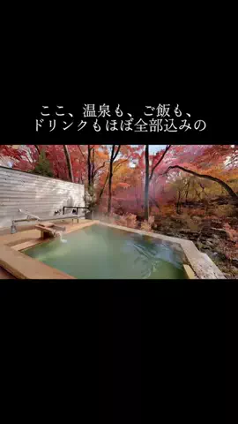 yadozukan_officialのTikTok投稿