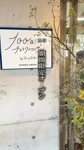 ちぃたびのTikTok投稿