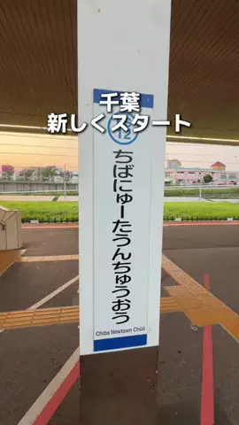 ゆまグルメ【千葉グルメ】のTikTok投稿