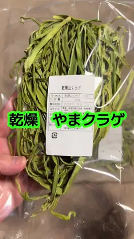 🍋remon🍋🏍️coelacanthのTikTok投稿