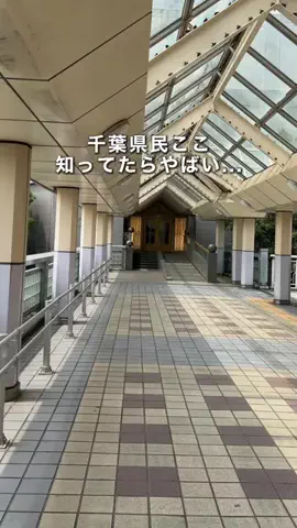 千葉県お出かけスポット🚗💨すずのTikTok投稿