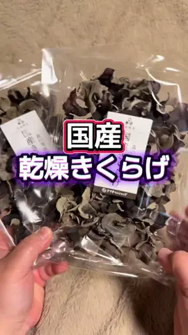 🍋remon🍋🏍️coelacanthのTikTok投稿