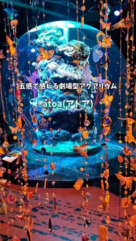 YOKO【全国旅するカウンセラー】JAPAN🇯🇵のTikTok投稿
