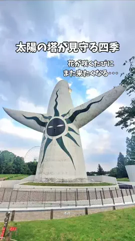 YOKO【全国旅するカウンセラー】JAPAN🇯🇵のTikTok投稿