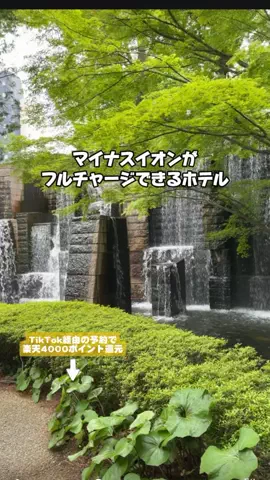 puchi_maoのTikTok投稿