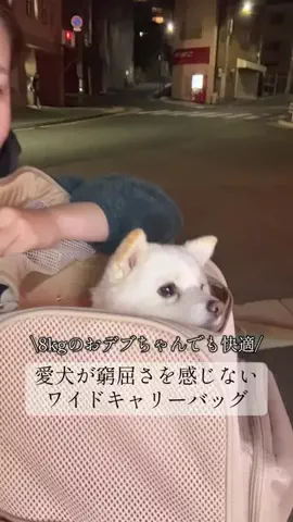 bellaver🐻‍❄️のTikTok投稿