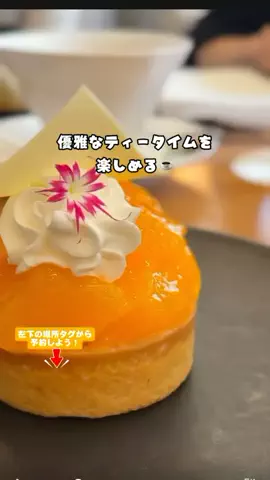 puchi_maoのTikTok投稿