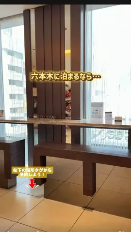 puchi_maoのTikTok投稿