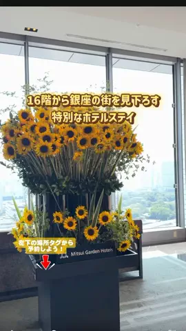 puchi_maoのTikTok投稿